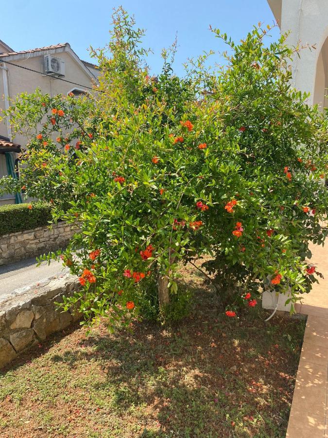 Apartmani Ana Borovac Funtana Exterior foto